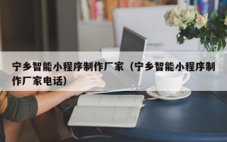肇州宁乡智能小程序制作厂家（宁乡智能小程序制作厂家电话）